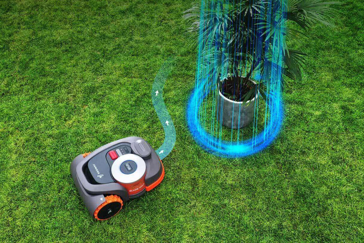 Read more about the article Segway Vision Fence